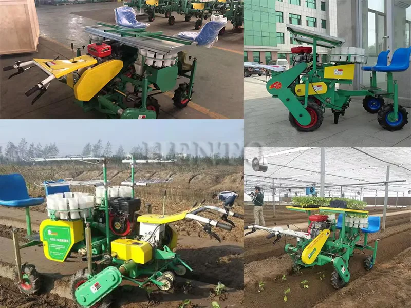 Hot Sale Paddy Transplanter Machine Price / Vegetable Transplanter / Vegetable Seeding Transplanter