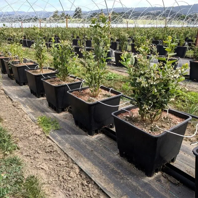 25L 30L Substrate Bucket Planter Maceta Cuadrada  Blueberry Growing Pots  Container  Greenhouse Pot Drainage Collection Pot