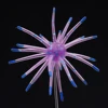 J003