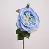สีฟ้า