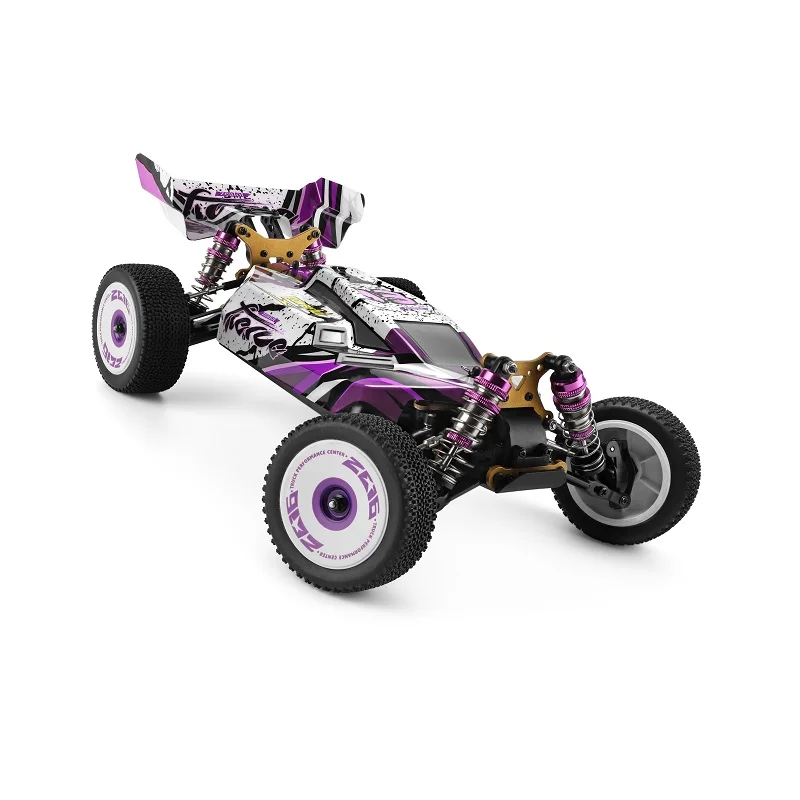 WYB Carro de corrida com controle remoto RC, 1/10 profissional de