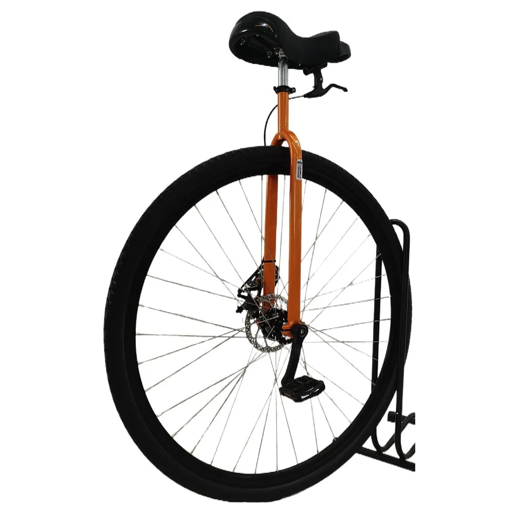 Unibike Velo Electrique Portugais Unicycle 29 