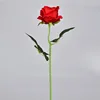 Medium-sized, textured red