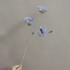 Gris lavande poussiéreux