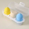Regular egg-spring day fantasy egg box 3 pack