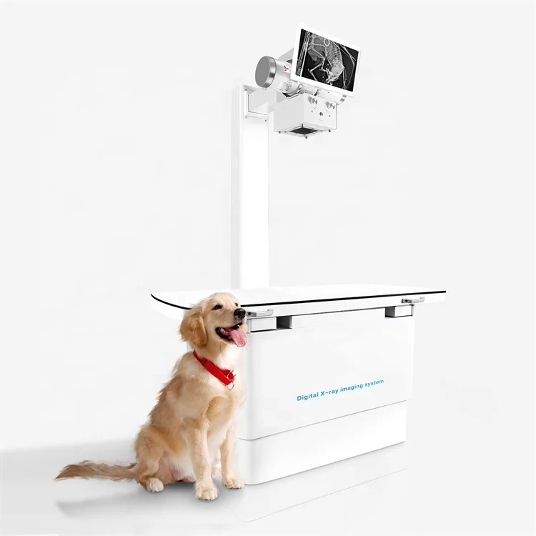 Portable X-ray Machine Medical Digital X Ray Machines for Animals Pets  Radiography System Price X-ray Machine DR