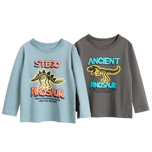Round Neck Cartoon Base Layer Casual Top Boys Autumn 2026 New Children's Long Sleeve T-shirt