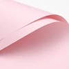 Rosa Sakura