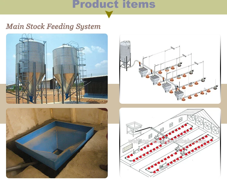 Design Modern Farming Chicken Poultry Farm Equipment Automatic Poultry Chicken Farm For Chicken