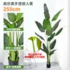 250 cm con vasca in plastica nera