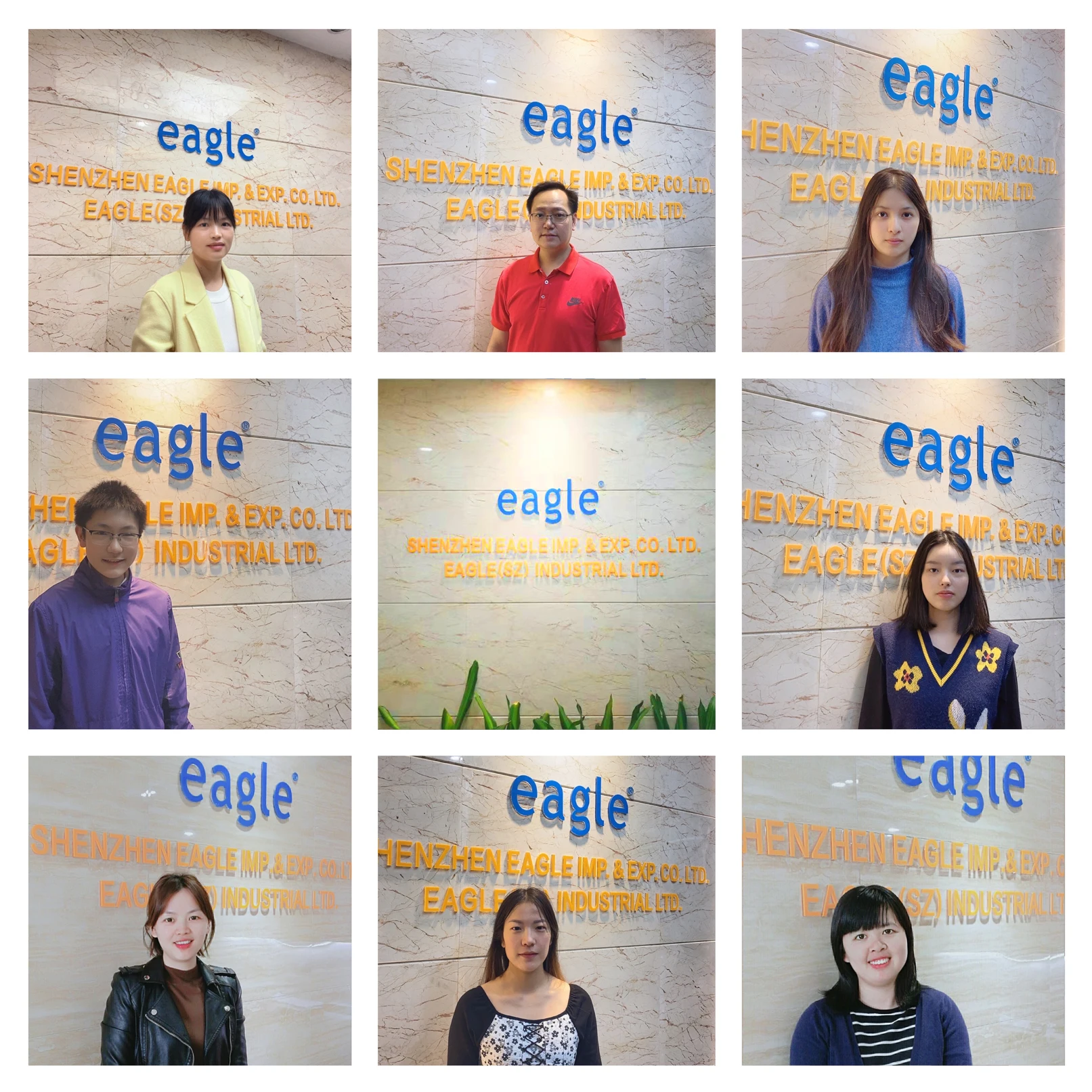 Shenzhen Eagle Imp&exp Co., Td.
