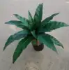 Green 3