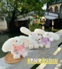 Tang Feng Rabbit