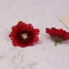 rojo uno