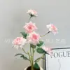 Rosa de 6 cabezas, polvo blanco.