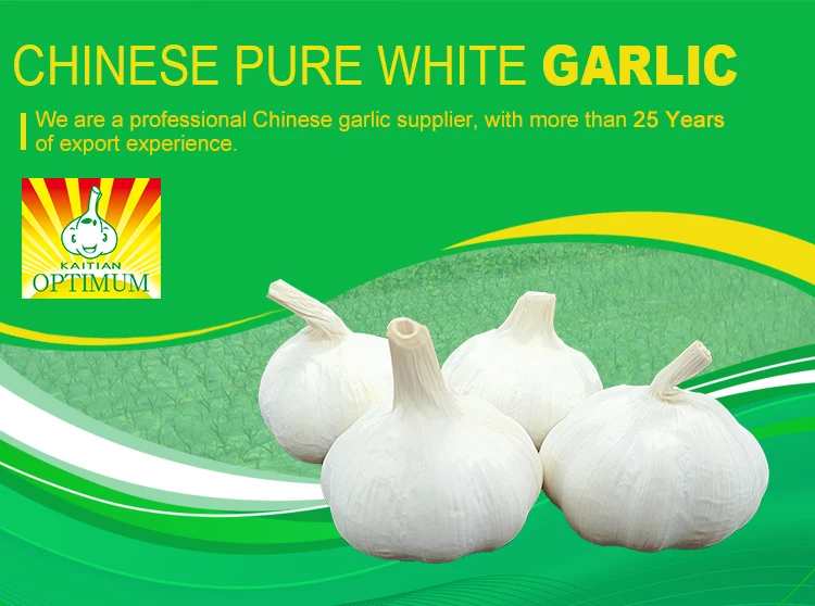2023 New Crop Fresh Natural Normal / Pure White Garlic/fresh Garlic