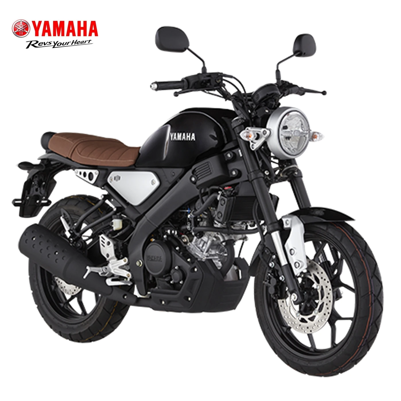 Yamaha xsr 155 discount rate