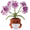 Purple daisy