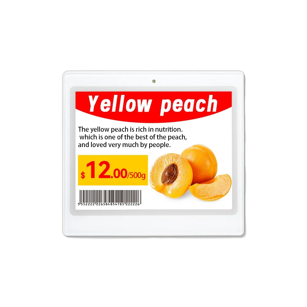 Zhsunyco ESL System Demo Kit Four Color E-Ink Price Tag Electronic Shelf Label for Supermarket