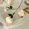 Champagne