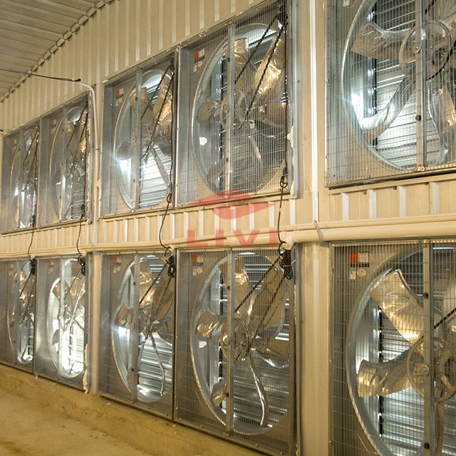 New Design Automatic Battery Cages Chicken Layer Poultry Cage System