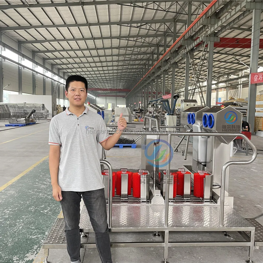 Meat Processing Equipment Boots Washer Machine  Shoe Cleaner Hygiene Station for Food Production