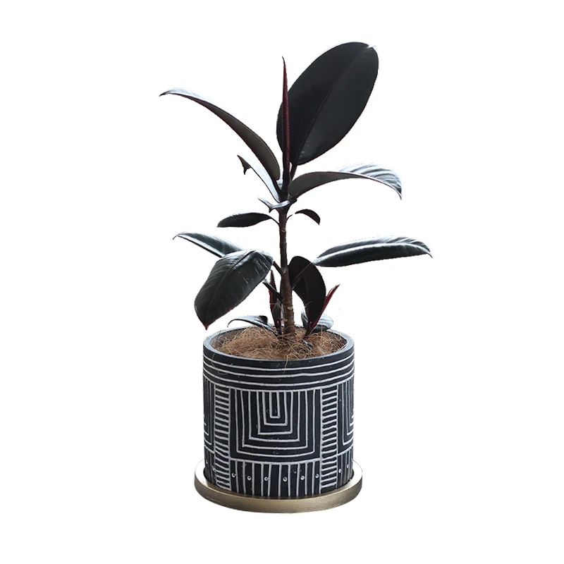 古典风格水泥花盆 带彩绘金色茶碟 用于家庭花园装饰 Buy 现代设计的圆柱形的水泥花盆花盆 附有托盘室内桌面花瓶家居装饰 复古风格圆形台面式混凝土绿色植物容器涂漆金盘里的客厅装饰 批发廉价混凝土喷漆壶里排水孔室外小型水泥盆栽与雕刻的花园装饰 古典风格水泥花盆 带彩绘金色茶碟 用于家庭花园装饰 Buy 现代设计的圆柱形的水泥花盆花盆 附有托盘室内桌面花瓶家居装饰 复古风格圆形台面式混凝土绿色植物容器涂漆金盘里的客厅装饰 批发廉价混凝土喷漆壶里排水孔室外小型水泥盆栽与雕刻的花园装饰