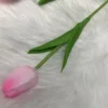 Un peu de rose