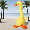 Piccola anatra gialla