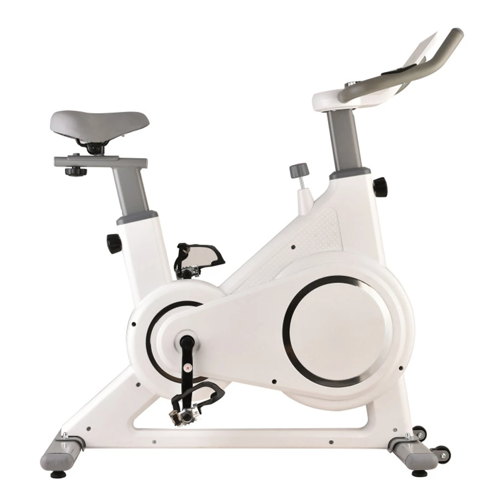 proform magnetic indoor cycle