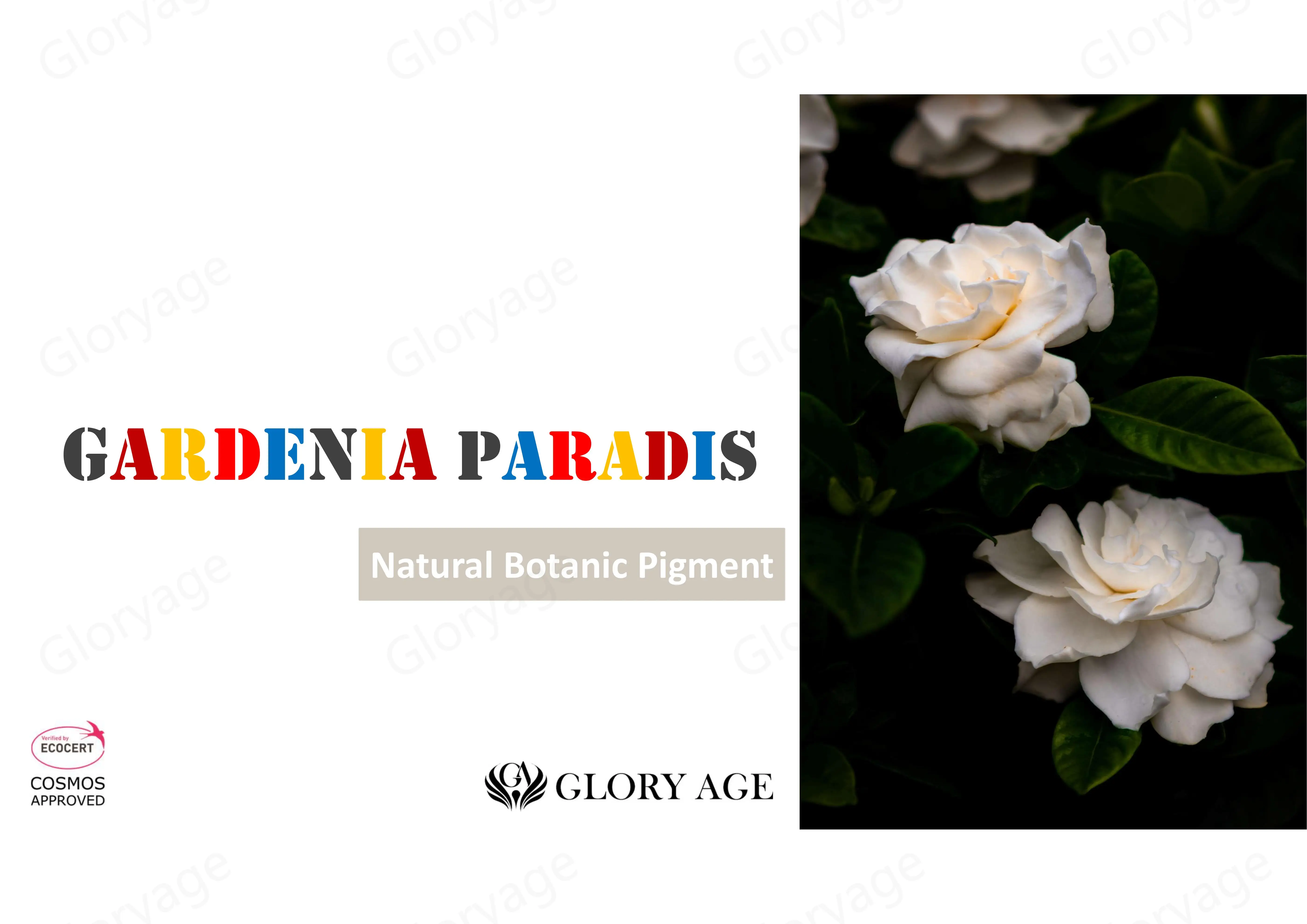 Chemical Raw Materials Organic Gardenia Extract Powder Natural ...