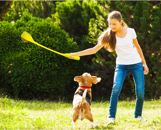 stick to throw ball for dog