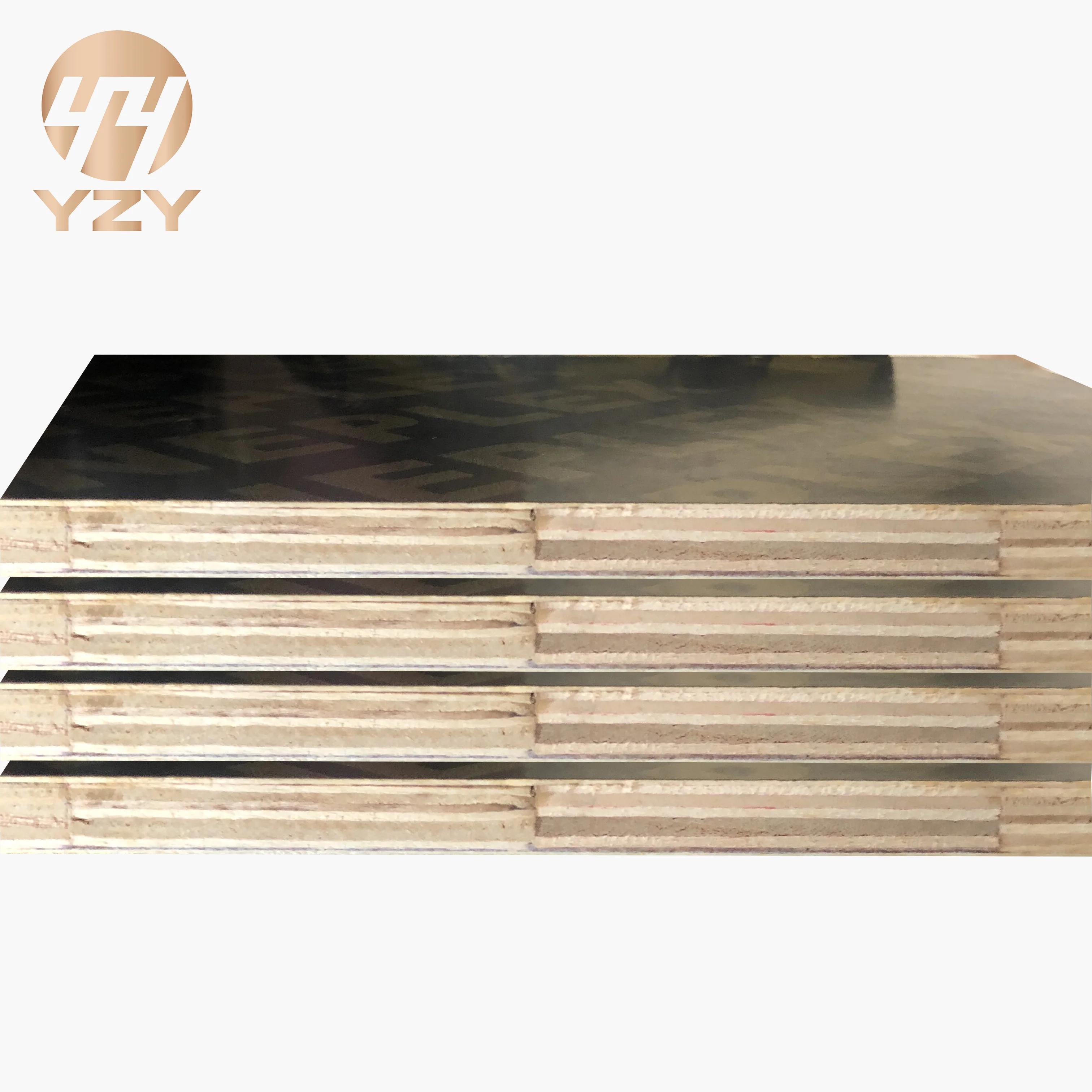5 Foot Wide Plywoodhunter Ed Exam Answersterms Of Use - ch82e9i