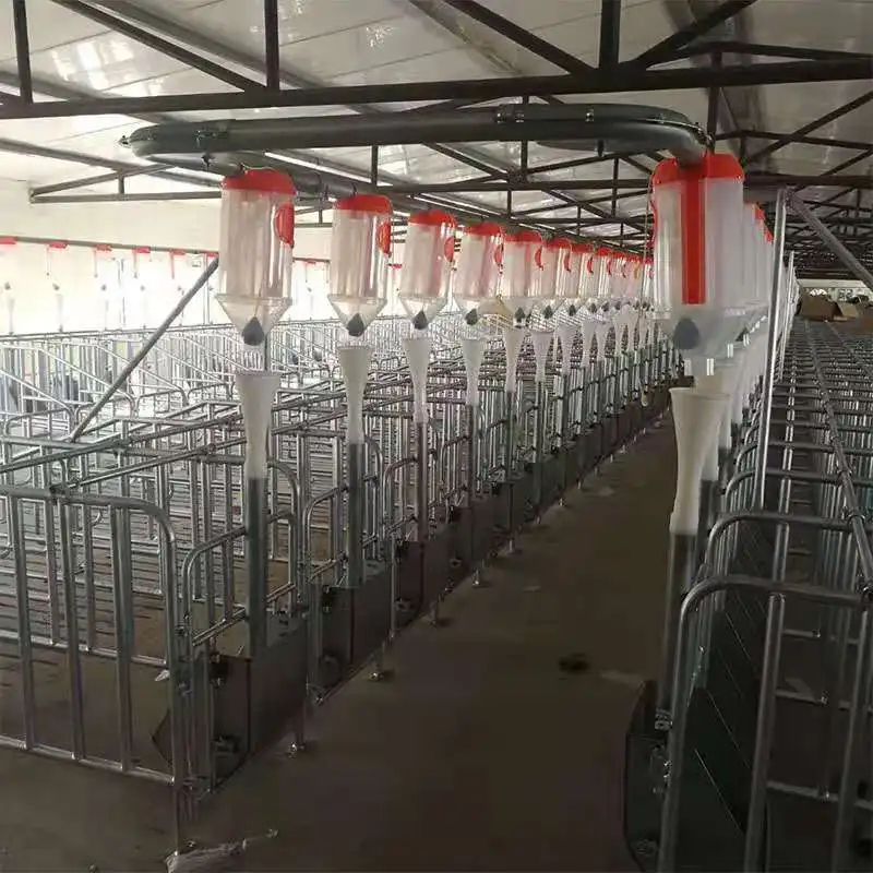 Pig Farm Automatic Plug Tray Feeding System,Sow,Fattening Pig Automatic