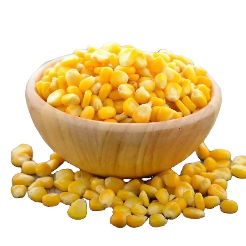 hot sale brc certified frozen sweet corn cob whole / cut good