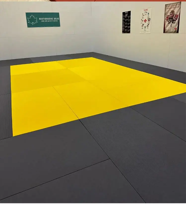 Ijf Standard Mma Judo Tatami Mat 200x100x4cm Or 5cm Brazilian Jiujitsu
