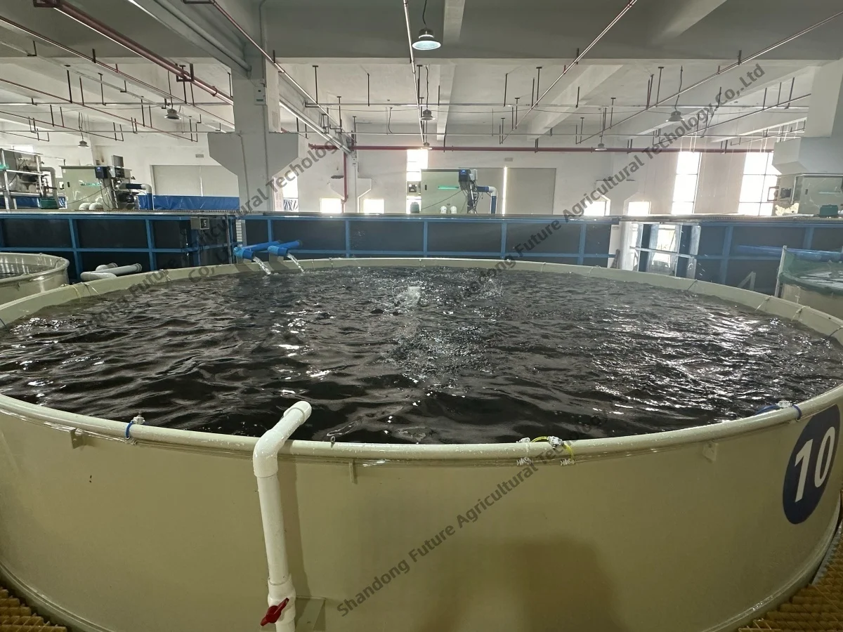 Extra Large Aquaculture Basins - High Capacity Fish Ponds