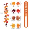 Maple Vine - No. 167