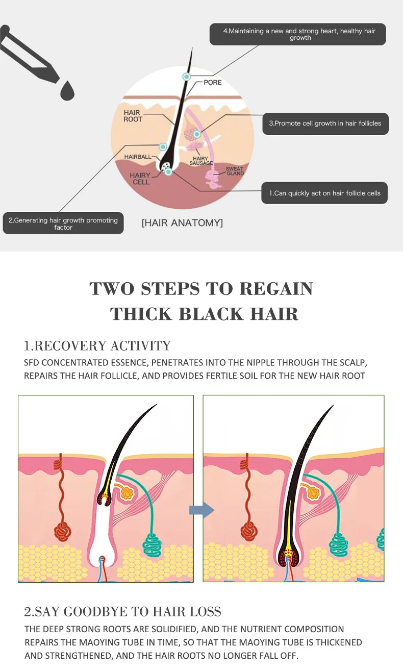 Hot Selling Dissar Organic Hair Loss Growth Oil Natural Regrowth Hair Oils for Hair Growth