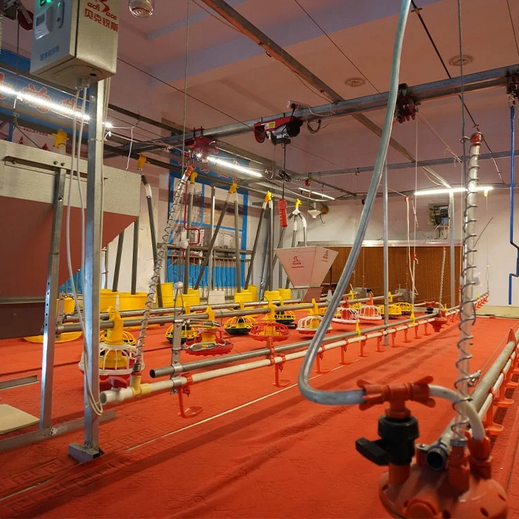 Оборудование для курятника птицефермы система подачи и питья цыплят простые кормушки