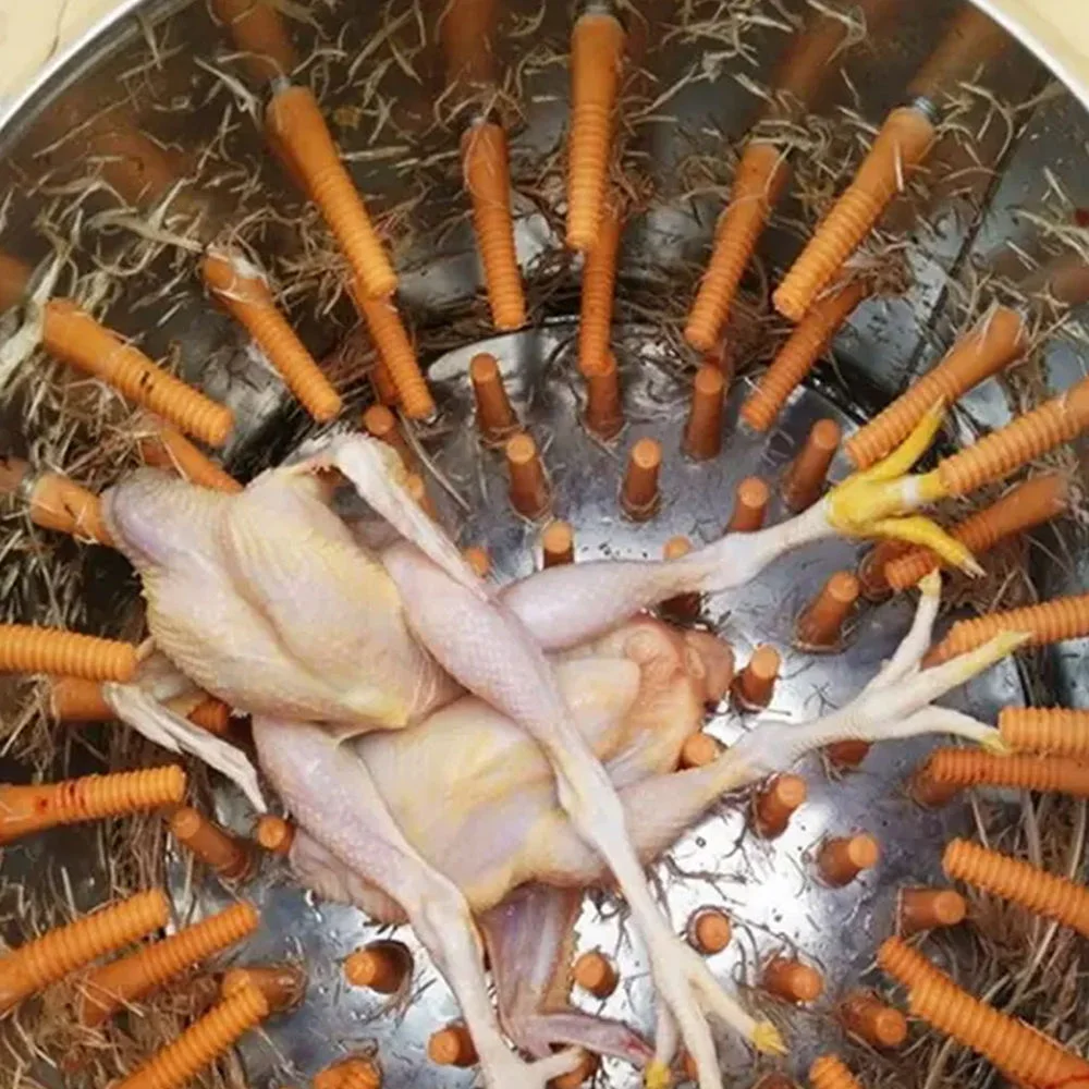 product-1-1 product-1-1