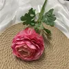 Rosa oscuro