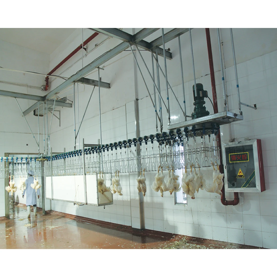 800 2000bph Broiler Slaughter Processing Machine For Chicken - Buy ...