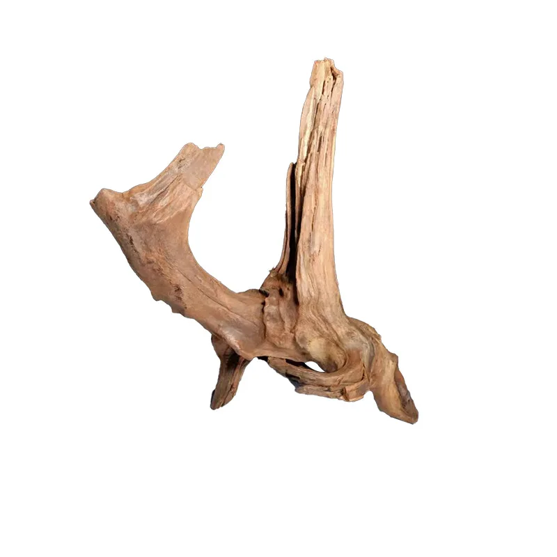 fish aquarium decoration driftwood malaysia mangrove wood
