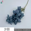 Evening Glory MQN Haze Blue