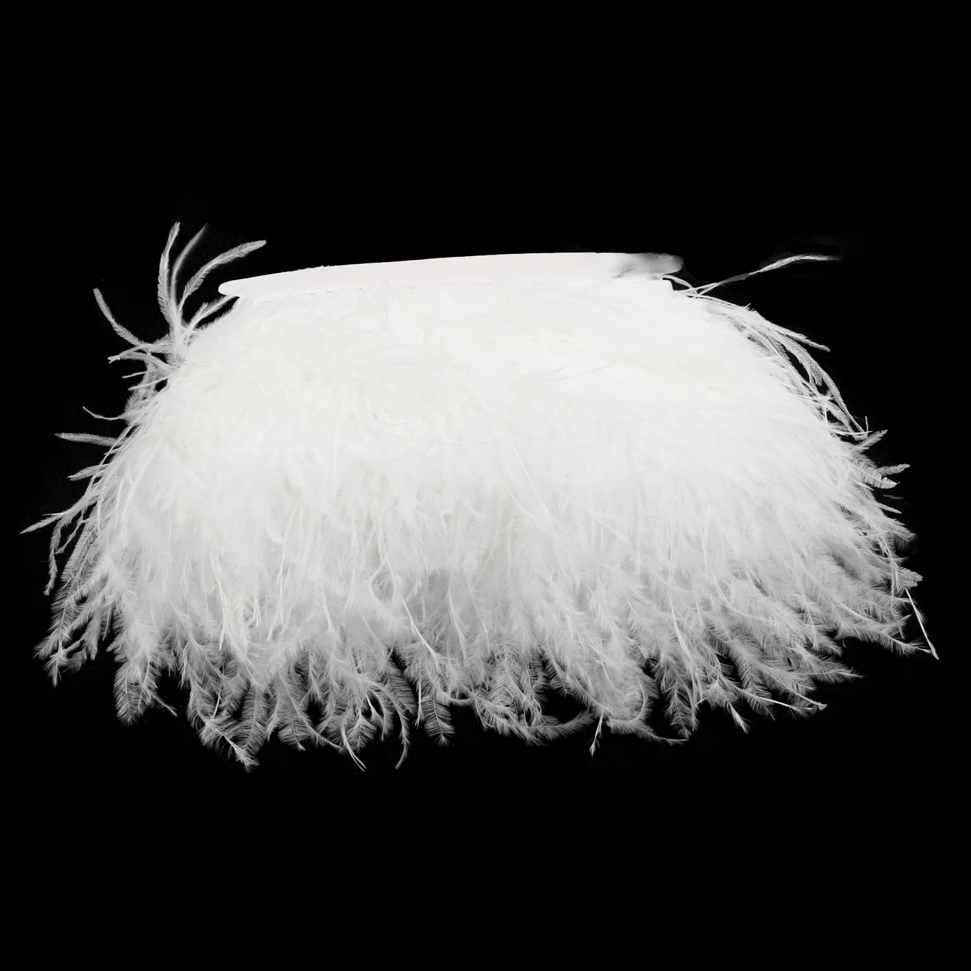 Free Shipping 10-15cm Black Ostrich Feather Trim - China Feather