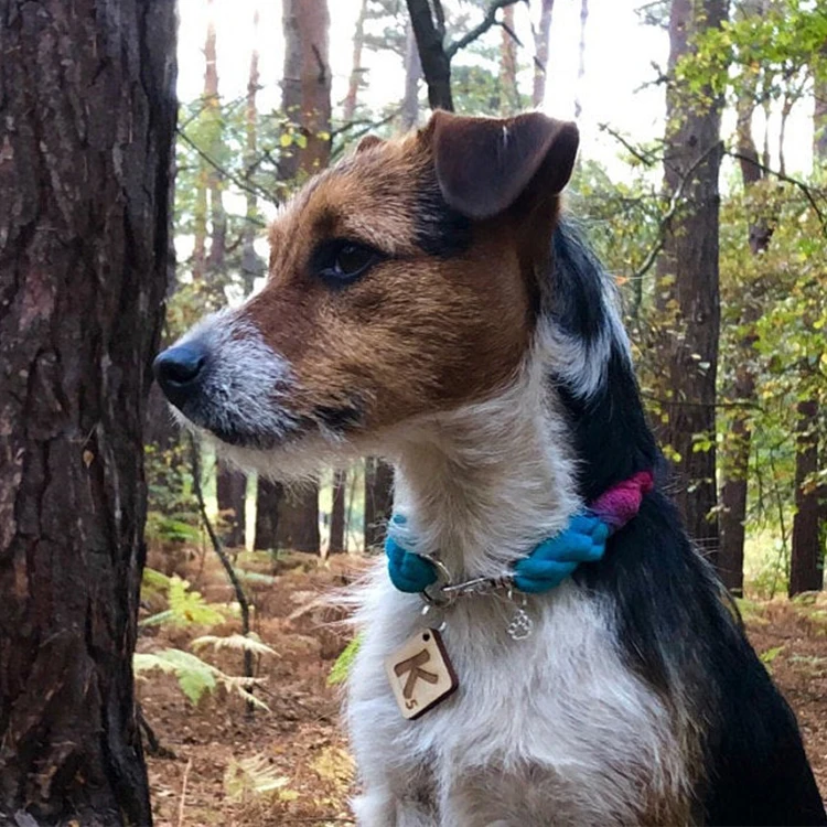 Customized Wooden NFC Tag Wood RFID Tag for Dog Cat Collar