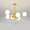 6 teste-oro