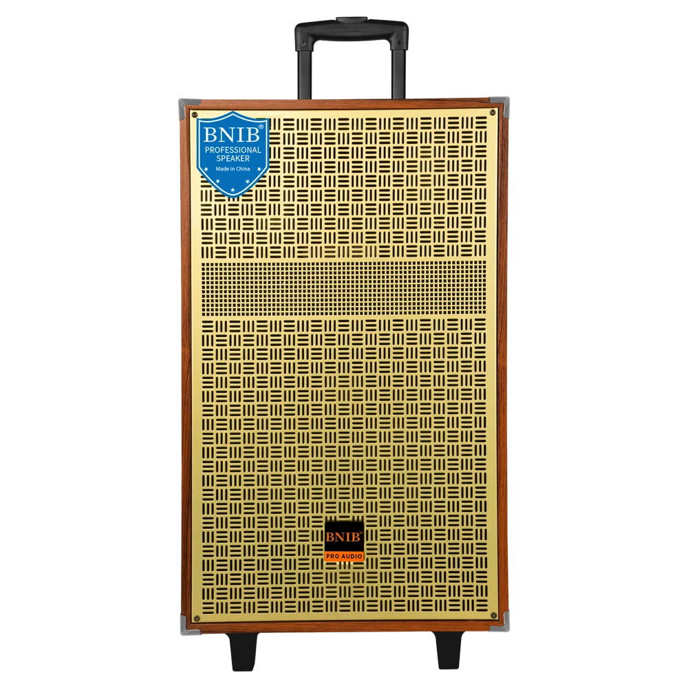 Деревянная акустическая система беспроводной OEM колонки Tws аудио звука караоке 12 дюймовый динамик для Dj вечеринки отдыха на открытом