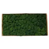 Vert foncé